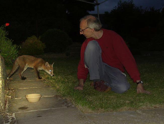 Fox Cub and Me